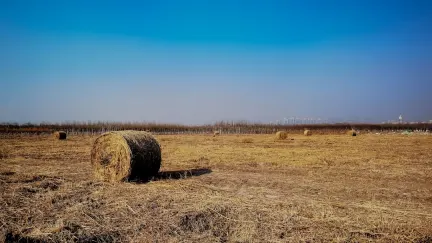 Казино Слот Шак Мобилно приложение